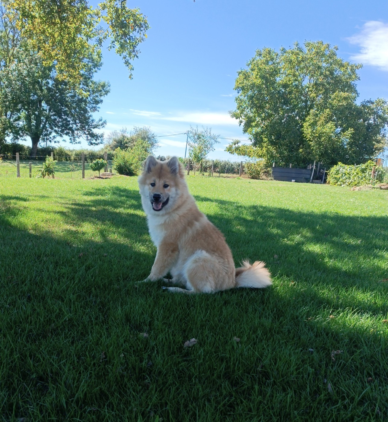 Alchimie Des Légendes De La Louve Arc-en-ciel