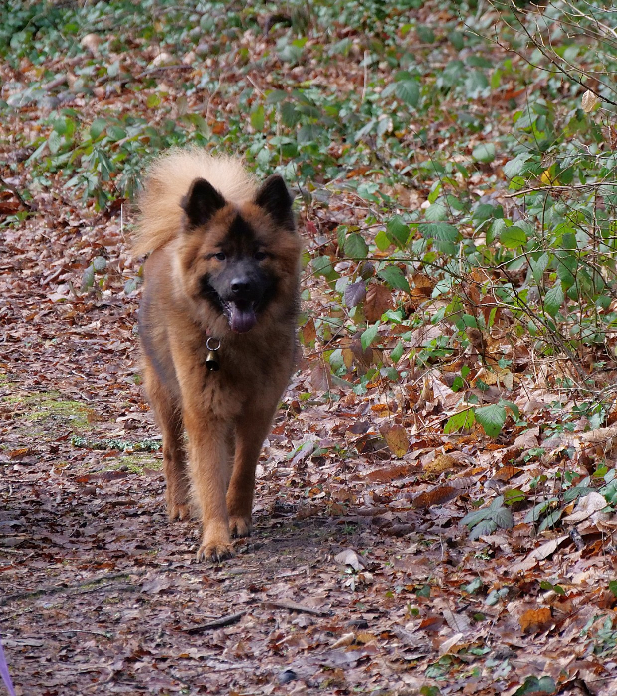 A la recherche de sa famille